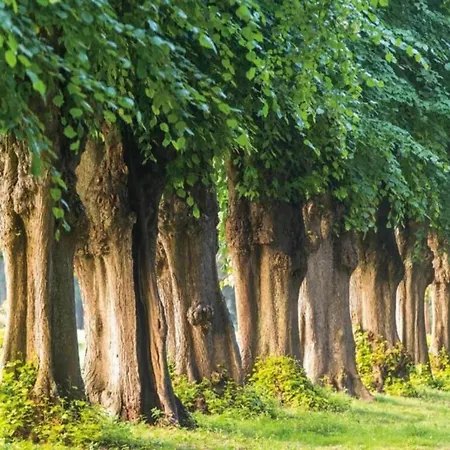 Botel Bright Base With Coastal Access *